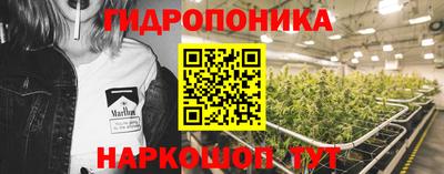 ПСИЛОЦИБИНОВЫЕ ГРИБЫ Кулебаки