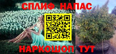 ПСИЛОЦИБИНОВЫЕ ГРИБЫ Кулебаки