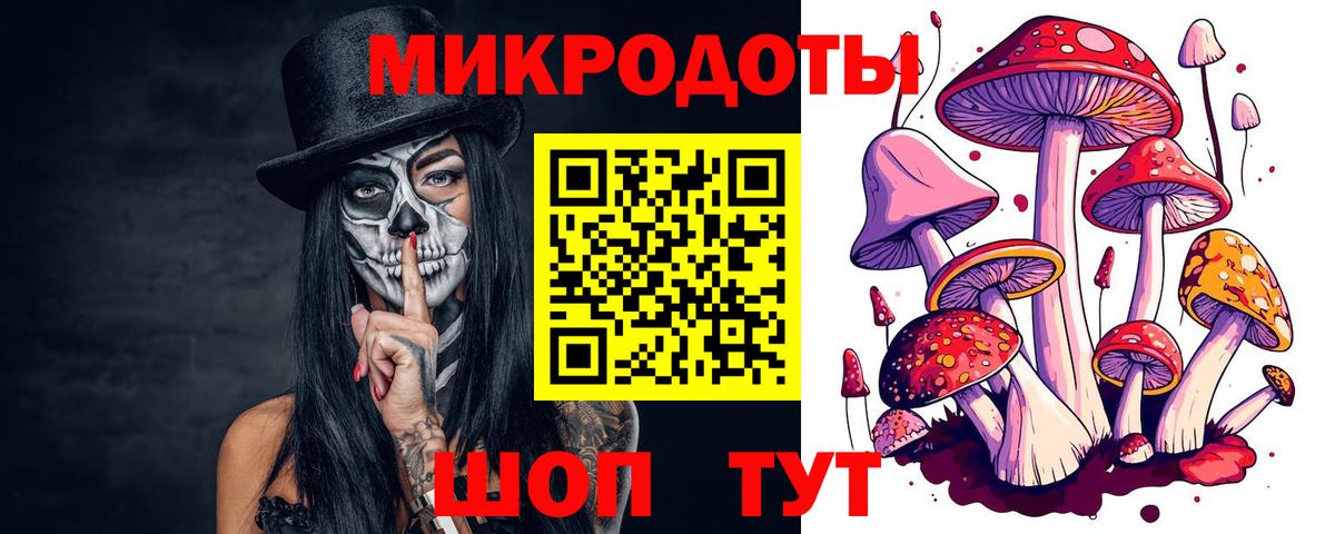Елабуга  Псилоцибиновые грибы Psilocybine cubensis  Вход с VPN 