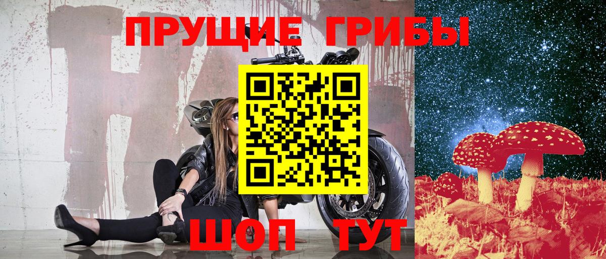 Галлюциногенные грибы Cubensis Елабуга